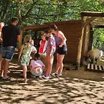 Avec Terrasse à La Douze, Idéal Pour 5 Personnes - Api-1-52-1079 Campeggio *
