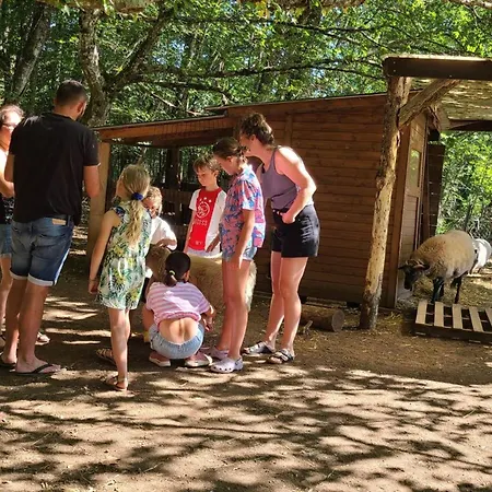 Avec Terrasse A La Douze, Ideal Pour 5 Personnes - Api-1-52-1079 Kemp *