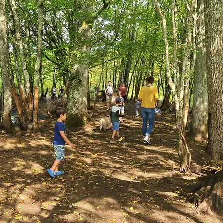 Campeggio Avec Terrasse à La Douze, Idéal Pour 5 Personnes - Api-1-52-1079